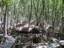 Căn cứ Rừng Sác
